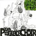: The Pestilence Choir - Gravity Hits (2012) (24.1 Kb)