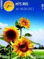 : Sunflower (20.1 Kb)