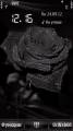 : Black rose by G alina53 (11.3 Kb)