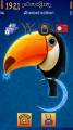 : Toucan by Saby