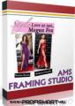 : AMS Software Framing Studio 3.51 (16.2 Kb)