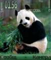 : Panda (6.1 Kb)