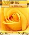 : Yellow Rose Theme (9 Kb)