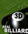 : 3D_Real_Billiards_2007 240*320 (6.7 Kb)