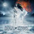 : Soul of Steel - Destiny (2011)  (21.7 Kb)