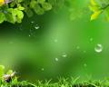 : Green Nature (7.9 Kb)