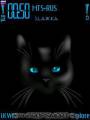: Black cat (10.4 Kb)