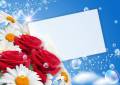 : Flower card with bubbles - 1 (10.3 Kb)