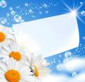 : Flower card with bubbles - 4