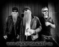 : ZZ Top - Shes Just Killing Me
