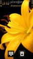 : Yellow Flower by neda25 (13.7 Kb)