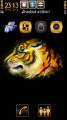 : Golden Tiger by Soumya (13.2 Kb)