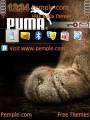 : Puma (9.9 Kb)