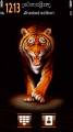 : Tiger by Galina53 (11.2 Kb)