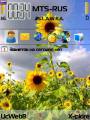 :  OS 9-9.3 - Sunflower (26.7 Kb)