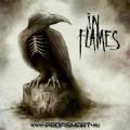 : In Flames - Sounds Of A Playground Fading (2011)