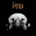 : Gojira - Terra Incognita (2001) (9.3 Kb)