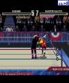 : Sega Mega Drive (PicoDrive) - WWF Wrestlemania Arcade (picodrive) (11.4 Kb)