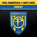 : Paul Oakenfold feat Matt Goss  -Firefly
