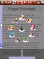 : Picsel Browser 1.0 WM5 (19.3 Kb)
