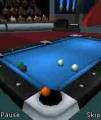 : World Championship Pool 3D 2007 (5.7 Kb)