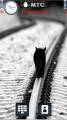 : Lonely Cat by Mohnatyj (14 Kb)
