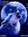 : wolf and moon by alfa 240320 (20.5 Kb)