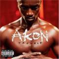 : Metal -  Akon - Lonely (10.8 Kb)