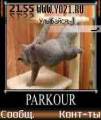 : Parkour by DisaG (4.6 Kb)