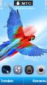 : Parrot Great blue v2 by Ru1eZ