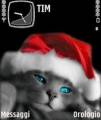 : Christmas Cat