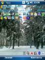 :  Windows Mobile 5-6.1 - Winter by Almaz (19.8 Kb)