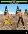 : Bruce Lee - Iron Fist 3D