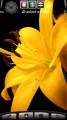 : Flower Yellow by Kallol (13.7 Kb)