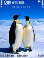 : Penguins by Trewoga (18.8 Kb)