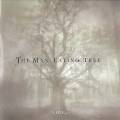 : The Man-Eating Tree - Vine (2010)