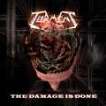 : Torment - The Damage Is Done (2012)