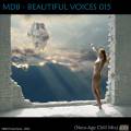 : Relax - Beautiful World - In The Beginning (18.3 Kb)