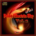 : PULSE ELECTRIC SKY vol.2 From DEDYLY64 2012