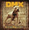 : DMX  The Rain