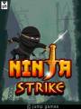 : ninja strike (18.2 Kb)