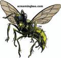 : Screaming Bee Voice Twister v.1.0.4.23756 (11.1 Kb)