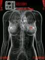 : Anatomical Woman by Santijago (8.1 Kb)