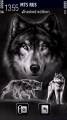 : Wolves by Galina53 (14.9 Kb)