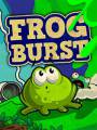 : Frog Burst 240x320 