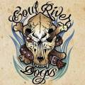 : Soul River Dogs - Roses for the Dead (31.3 Kb)