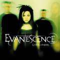 : Evanescence - Bring Me To Life (14.5 Kb)