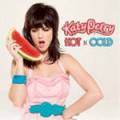 : Katy Perry - I Kissed A Girl (Andy Harding Remix) (5.1 Kb)