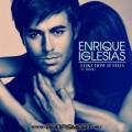 : Enrique Iglesias feat. Pitbull - I Like It (20.1 Kb)