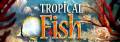 :  - Tropical Fish 1.1.0.6 (51  62) (8 Kb)